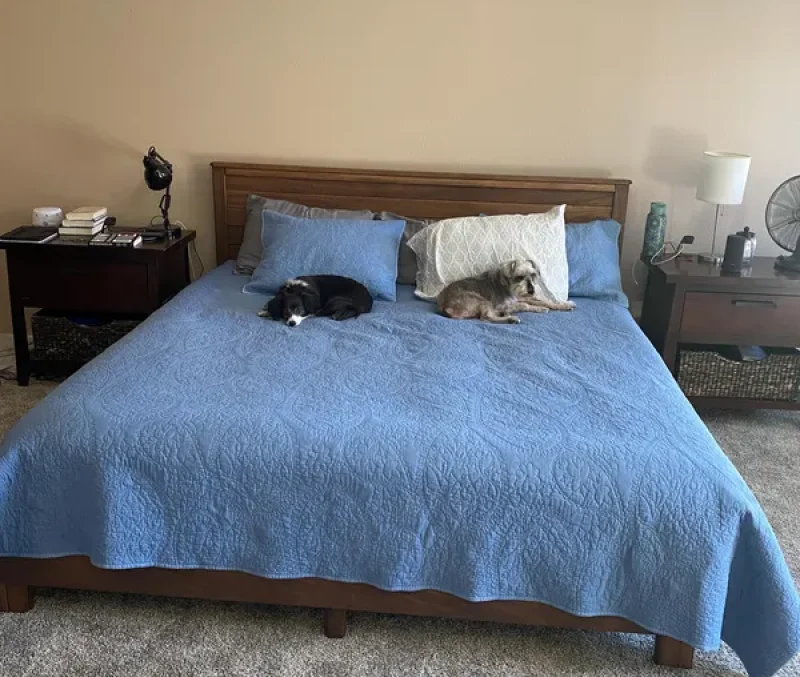 Laura's review image of the aberdeen bedframe